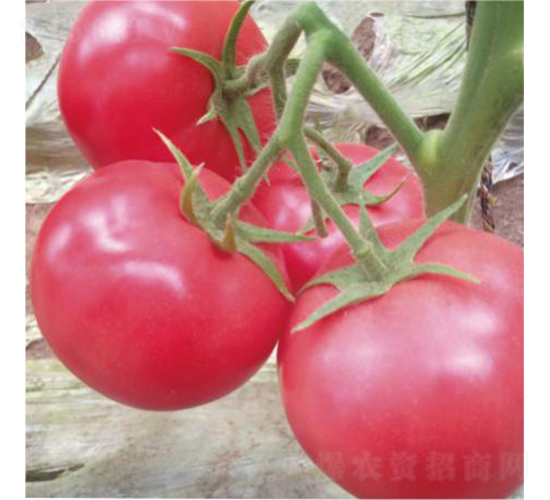 �hķ1350-���ѷN��-�͝��r�I(y��)