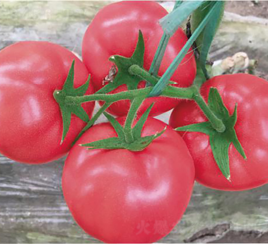 �hķ1601-���ѷN��-�͝�(r��n)�r(n��ng)�I(y��)