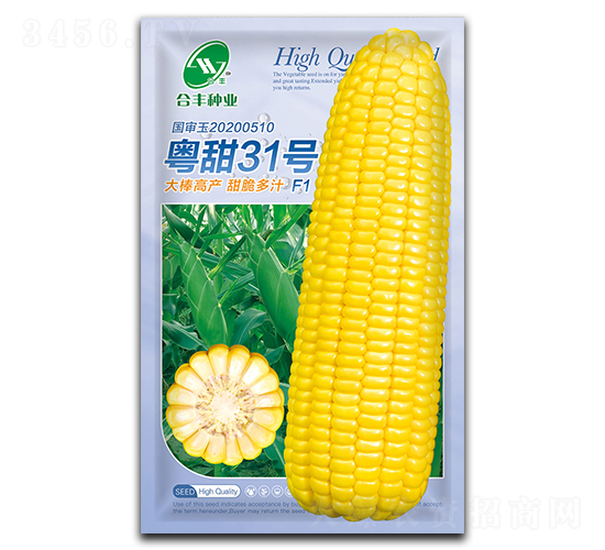 ����31̖-���׷N��-���S�N�I(y��)