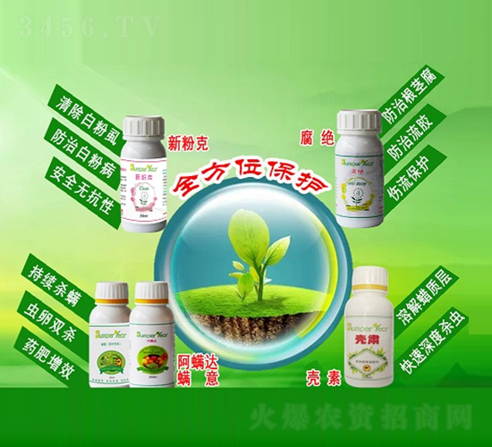 �����Ƅ�-�ѹ���