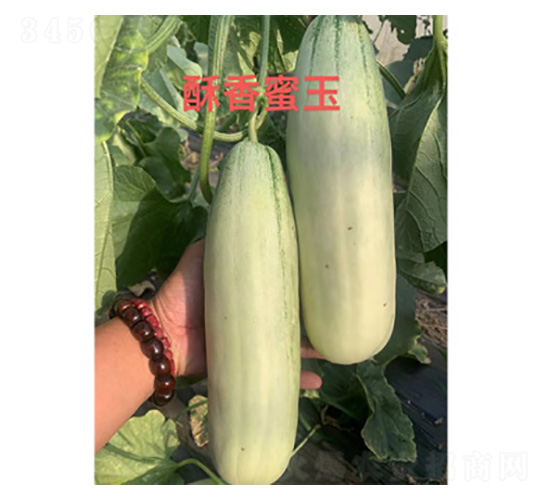 ��ϷN��-��������-���S�r(n��ng)�I(y��)