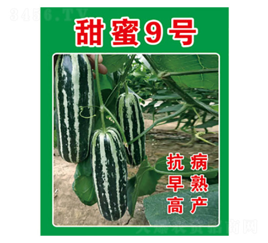 ��ϷN��-����9̖-���S�r(n��ng)�I(y��)