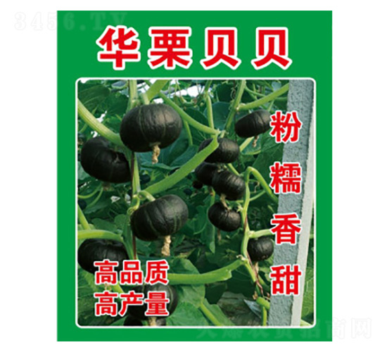 �ϹϷN��-�A��ؐؐ-���S�r(n��ng)�I(y��)