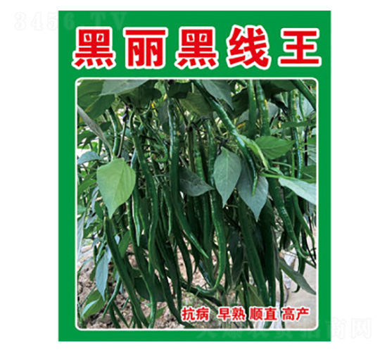 �����N��-�����ھ���-���S�r(n��ng)�I(y��)