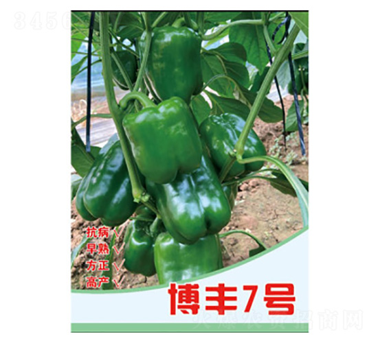 �����N��-���S7̖-���S�r(n��ng)�I(y��)