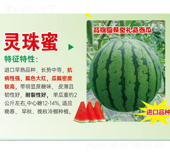 ���ϷN��-�`����-���S�r(n��ng)�I(y��)