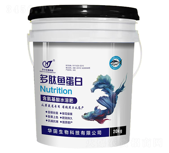 �����~����-�A������