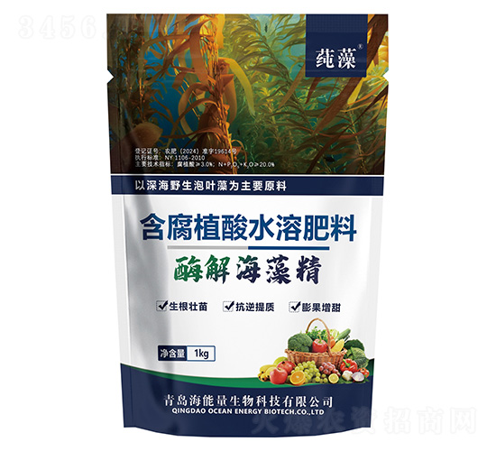 ø�⺣�徫-����-������