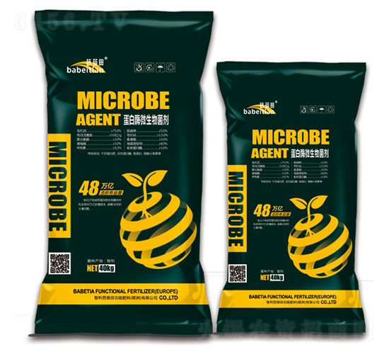 ����ø΢�������-������-�vɭ�ʘI(y��)