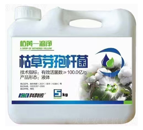 ���Sһ�΃�-�����r(n��ng)