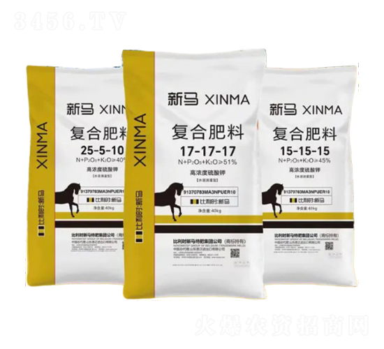 ������͏ͺϷ���-���R-����