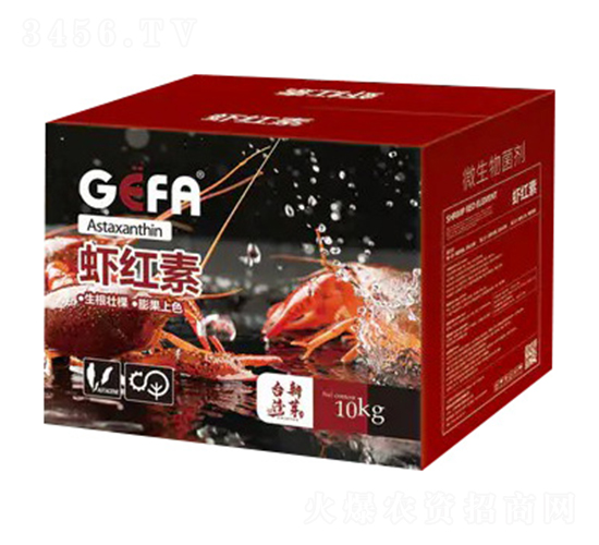 ΢�������-�r�t��-����