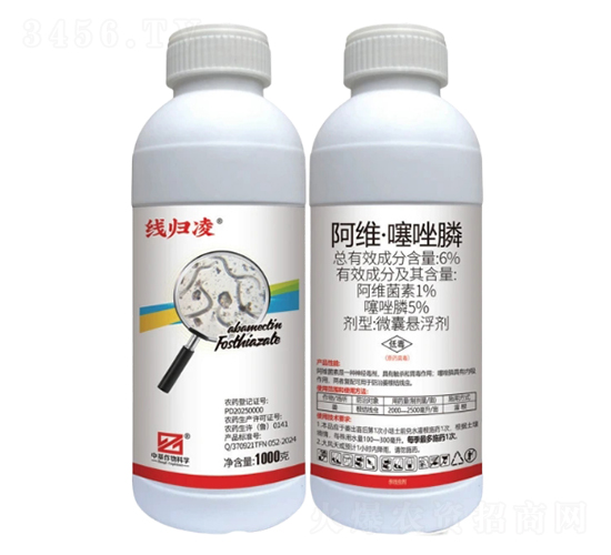 6%���S�������΢�ґҸ�����CS��-���w��-�л�����ƌW(xu��)