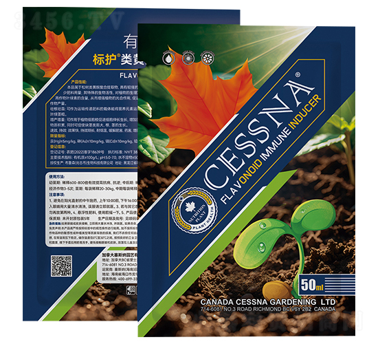 ��Sͪ�����T��(d��o)��-��(bi��o)�o(h��)-�ЅR�r(n��ng)�I(y��)