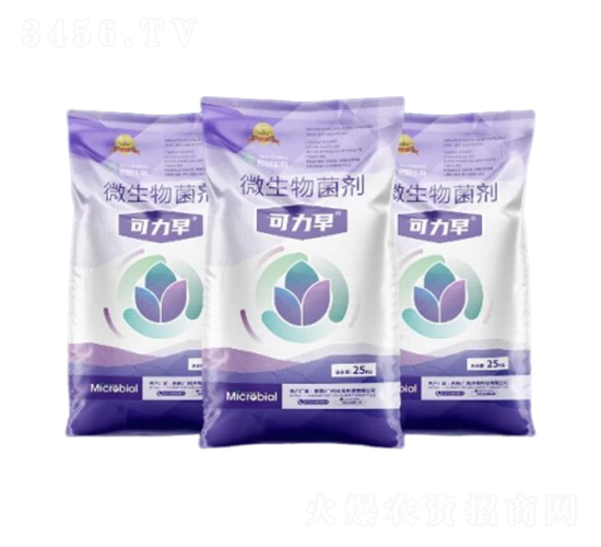 ΢�������-������-Ľ������