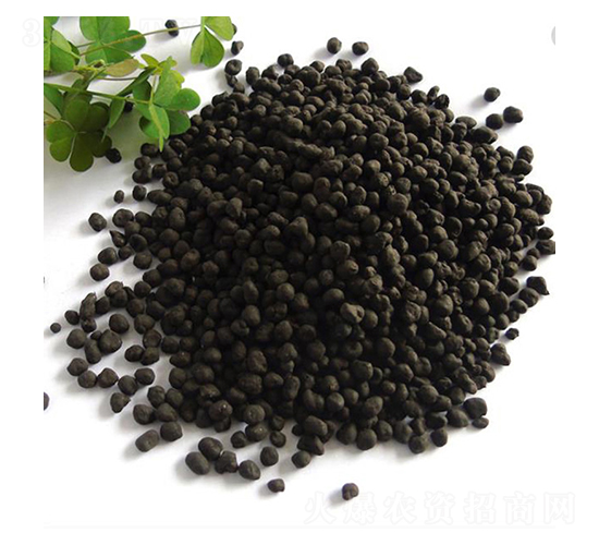 ����-ِ�Z�_(d��)