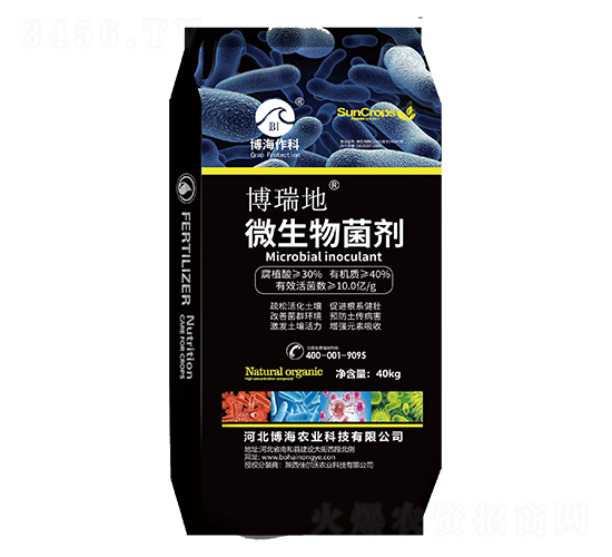 ΢�������-�����-��������