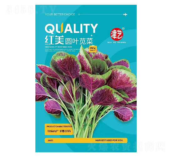 �{�˷N��-�t���A�~�{��-���S�r(n��ng)�I(y��)