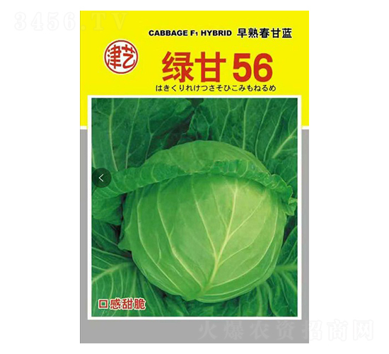 ���{(l��n)�N��-�G��56-���S�r(n��ng)�I(y��)