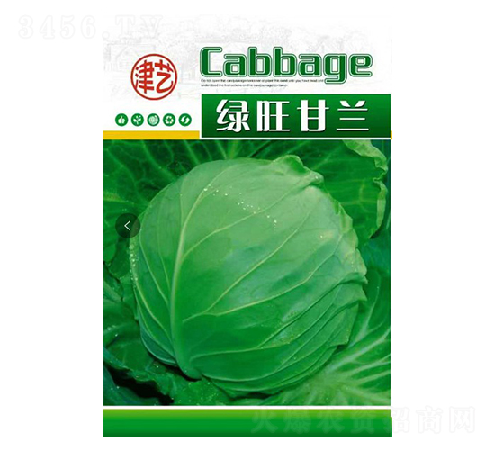 ���{(l��n)�N��-�G�����{(l��n)-���S�r(n��ng)�I(y��)