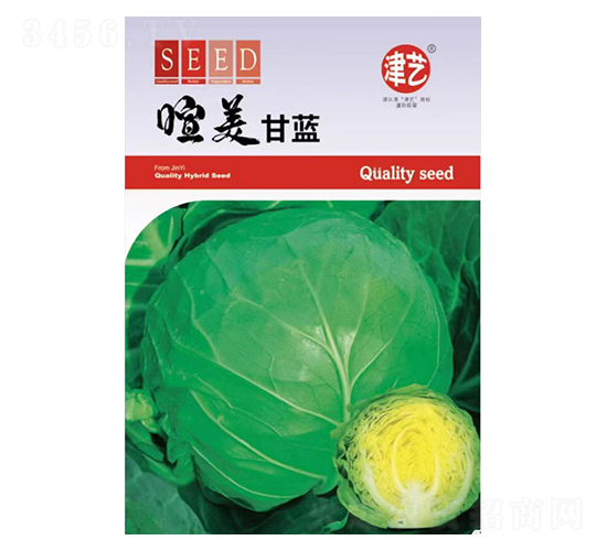 ���{�N��-�������{-���S�r�I(y��)