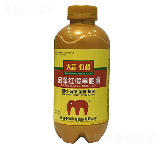 �ӝɼt�نΰ���-���⡤����-����ú