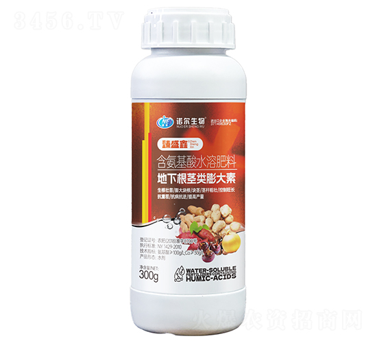 ���¸��o������-��ʢ��-�Z������