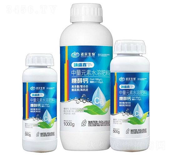 �Ǵ��}-��ʢ��-�Z������