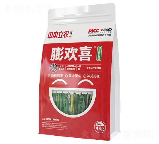 膨歡喜（拉直拉長(zhǎng)型）-中本立農(nóng)