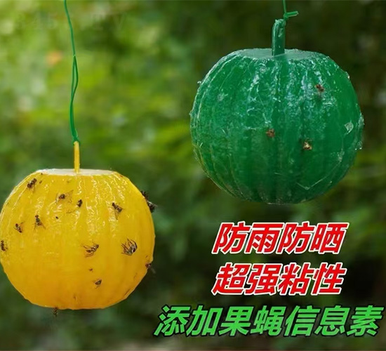 綠誘旺誘蠅球-皖樂收生物