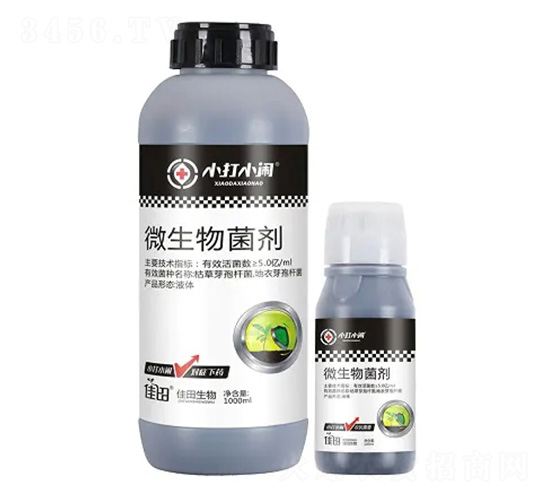 ΢�������-С��С�[-��������