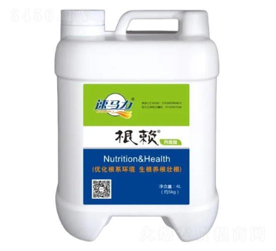 4L��ه-�а����r