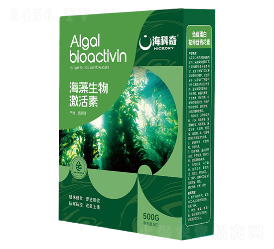 �������Ｄ����-������