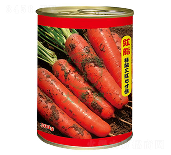 �t�����}���N��-�����N�I(y��)