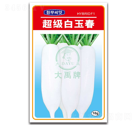 ��������-�}���N��-�����N�I(y��)