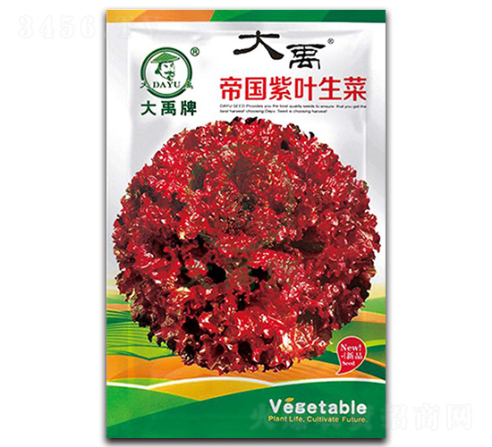 �ۇ�(gu��)���~���˷N��-�����N�I(y��)