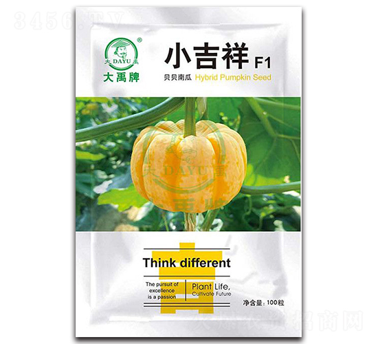 С����ؐؐ�ϹϷN��-�����N�I(y��)