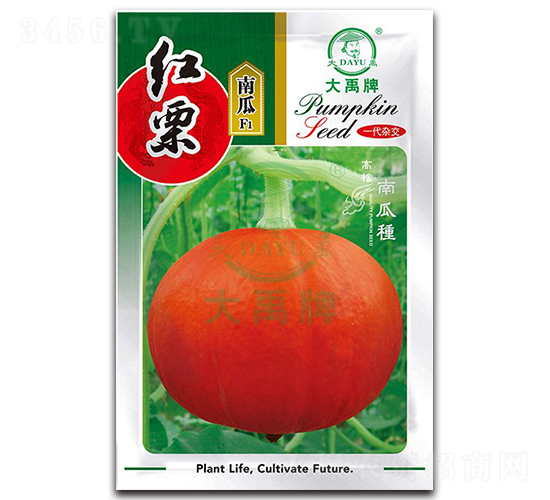 �t���ϹϷN��-�����N�I(y��)