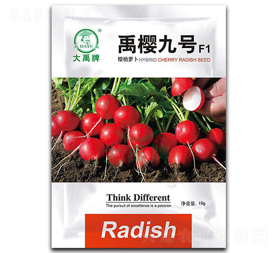 ��Ѿ�̖(h��o)�����}���N��-�����N�I(y��)