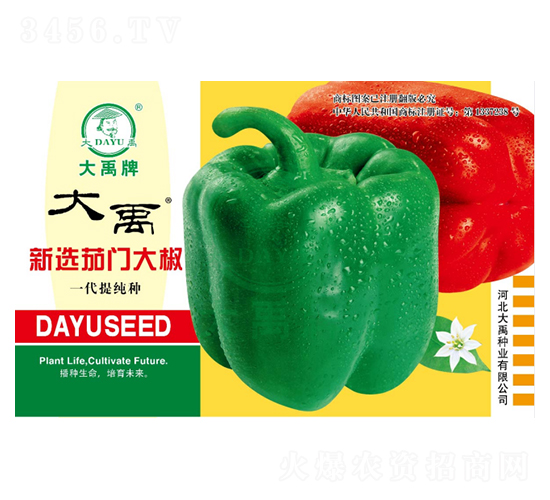 ���x���T��-�����N��-�����N�I(y��)