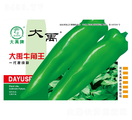 ����ţ����-�����N��-�����N�I(y��)