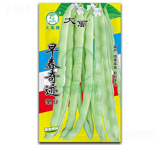 �紺���E-�ܶ��N��-�����N�I(y��)