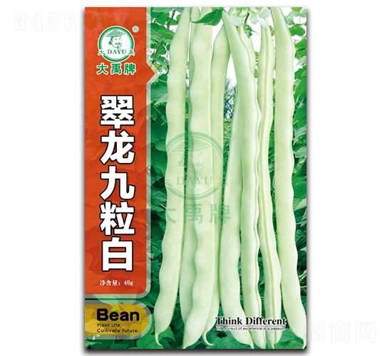 ����������-�����N��-�����N�I(y��)