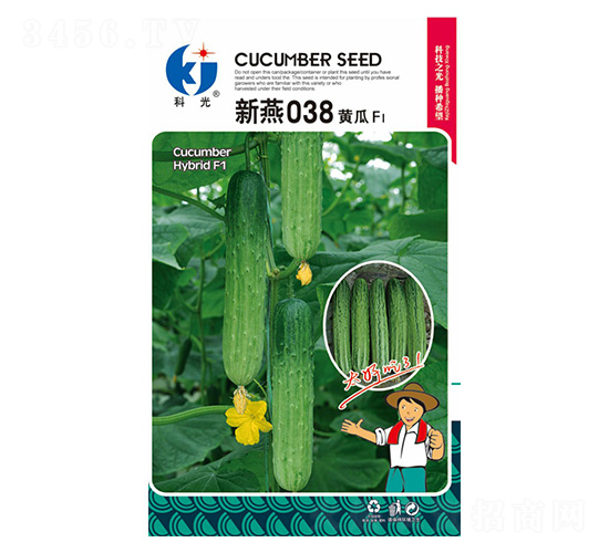 ����038-�ƹ�N��