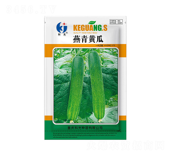 �����S��-�ƹ�N��