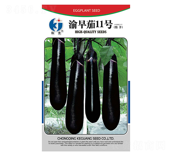 ������11̖(h��o)-�ƹ�N��