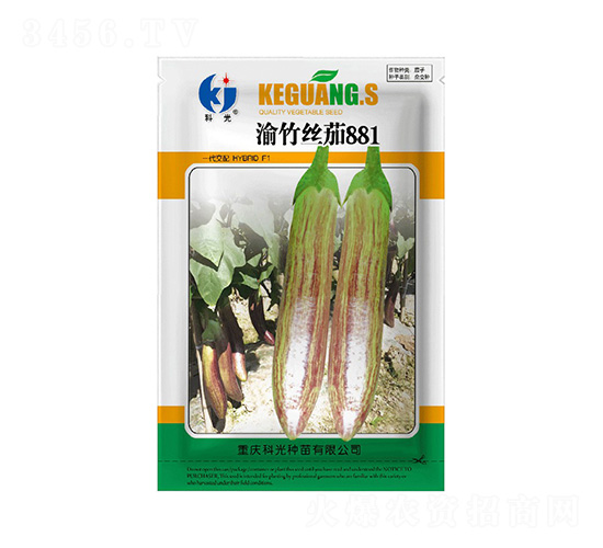 ����z��881-�ƹ�N��