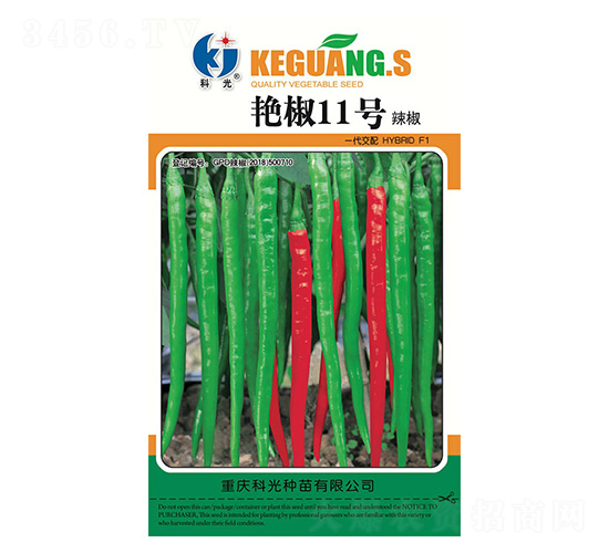 �G��11̖-�ƹ�N��