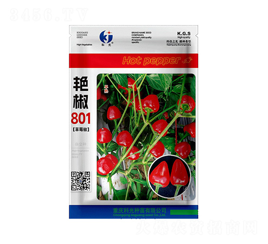 �G��801-�ƹ�N��