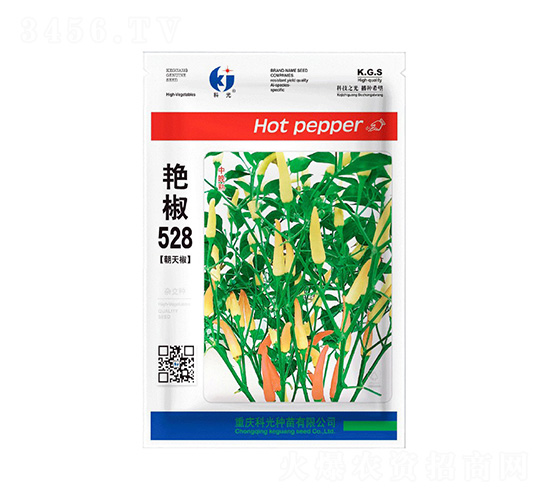 �G��528-�ƹ�N��